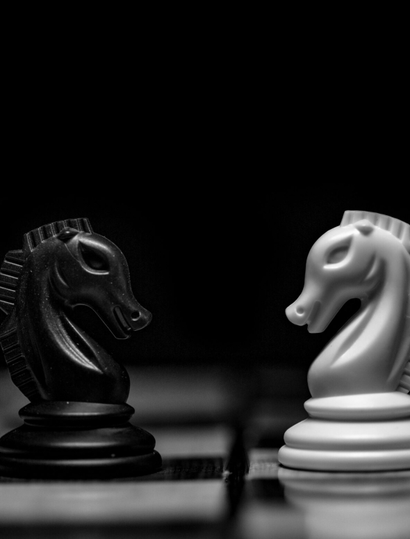 hassan-pasha-7SjEuEF06Zw-unsplash
